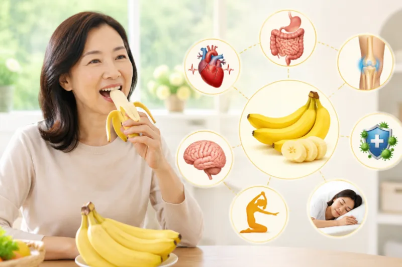 Chuối cung cấp carbohydrate, chất xơ, kali và vitamin B6, phù hợp làm bữa phụ khi được sử dụng với lượng vừa phải.