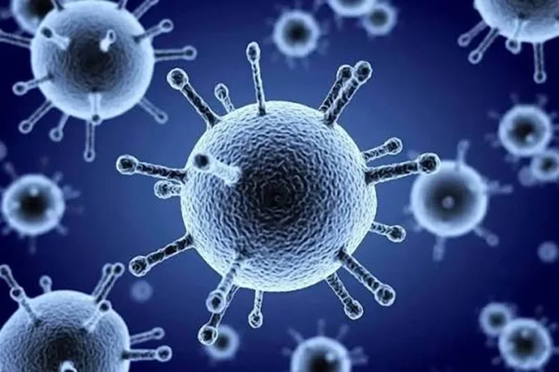 Virus cúm A có tốc độ lây lan nhanh qua đường hô hấp và dễ bùng phát thành dịch.